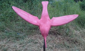 20150423_094702