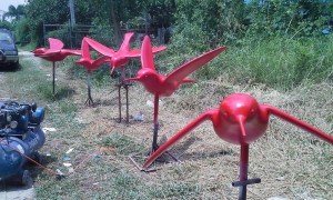 20150429_113423