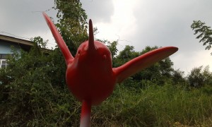 20150429_125332