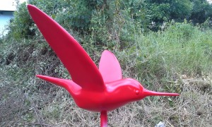 20150429_125348
