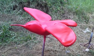 20150429_125422