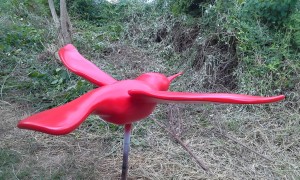 20150429_125530