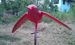 20150429_125643-1