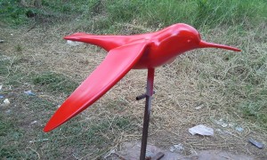 20150429_125657