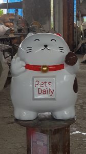 dog&cat5