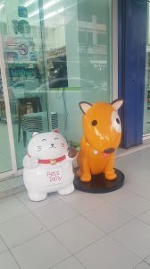 dog&cat9