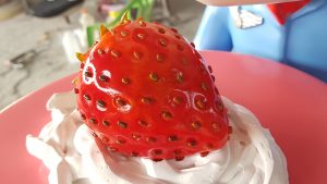 fiberglass cake04