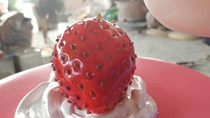 fiberglass cake05