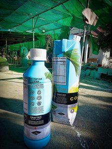 mockups thaicoco10