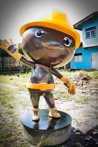 ถ่านน้อย-015