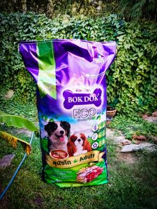 ม็อคอัพ bok dog2