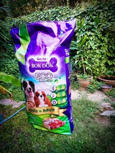 ม็อคอัพ bok dog3