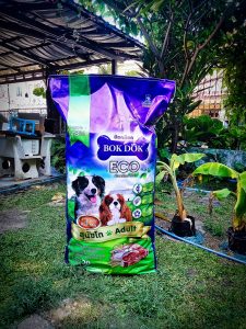 ม็อคอัพ bok dog9