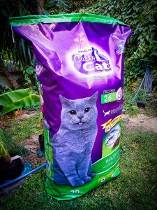 ม็อคอัพ catty cat10