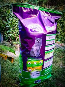ม็อคอัพ catty cat2