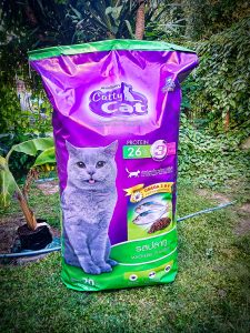 ม็อคอัพ catty cat9