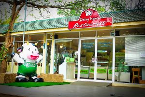 หุ่นไฟเบอร์กลาส วัว13