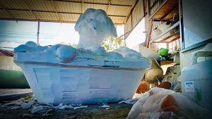 อ่างอาบน้ำหมา02